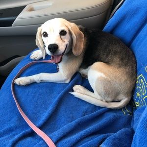 Meet your Posher, Tatiana